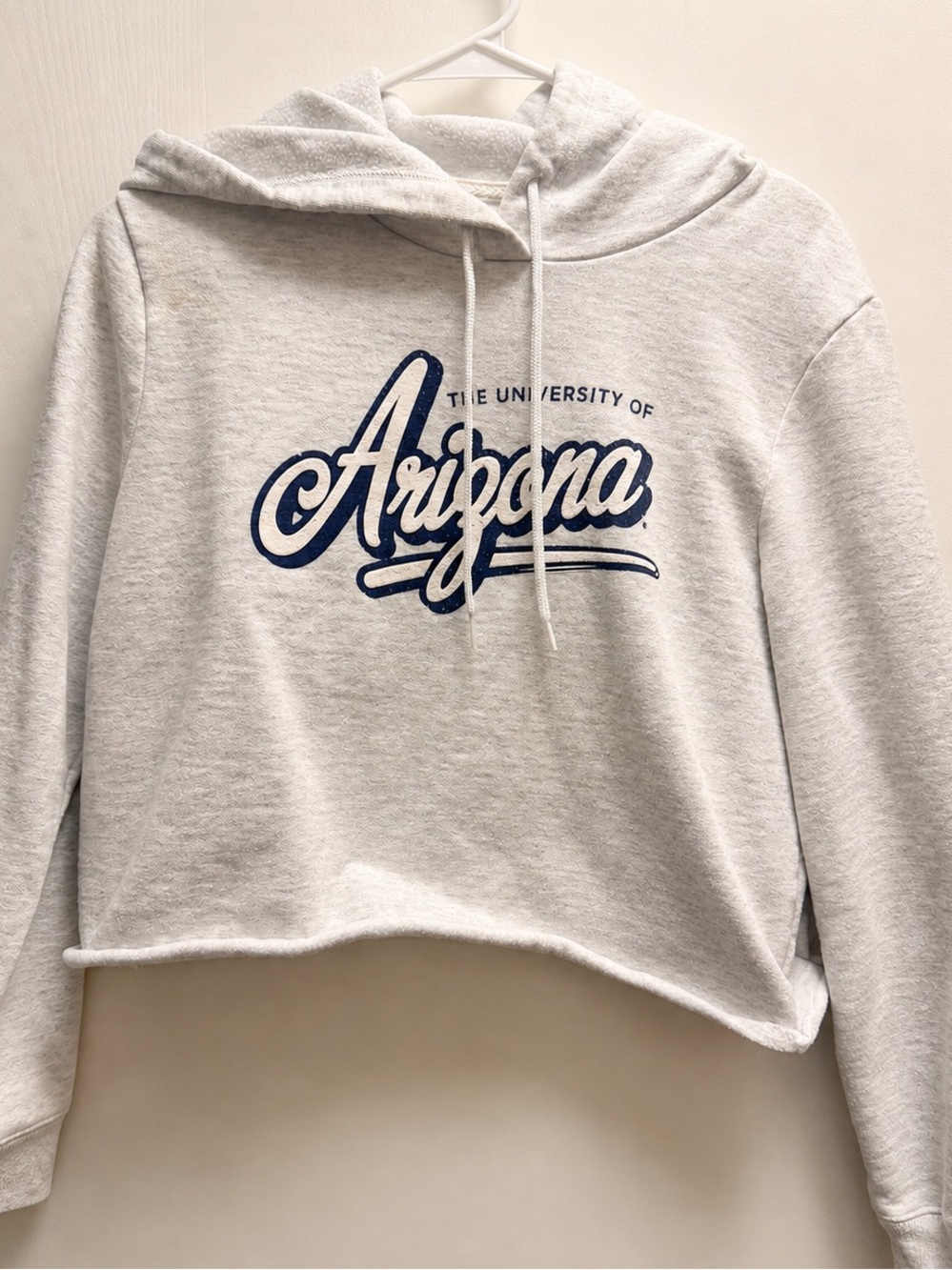 University of Arizona Crop Hoodie Gray Women Small Collegiate Merch